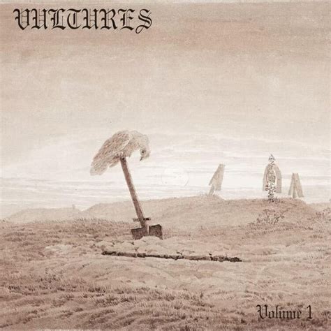 vultures 1 vinyl
